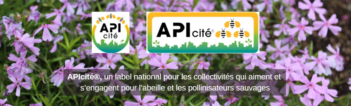 labellisation APIcité® 2020